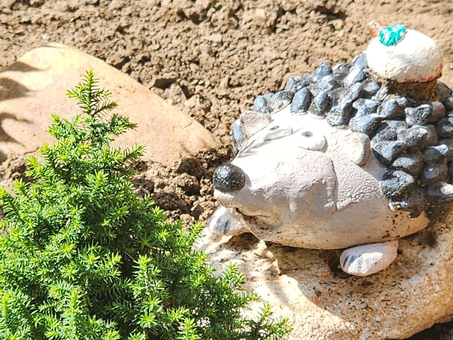 долгопрудный, конкурс по благоустройству, цветник, ландшафтный дизайн, хлебниково,