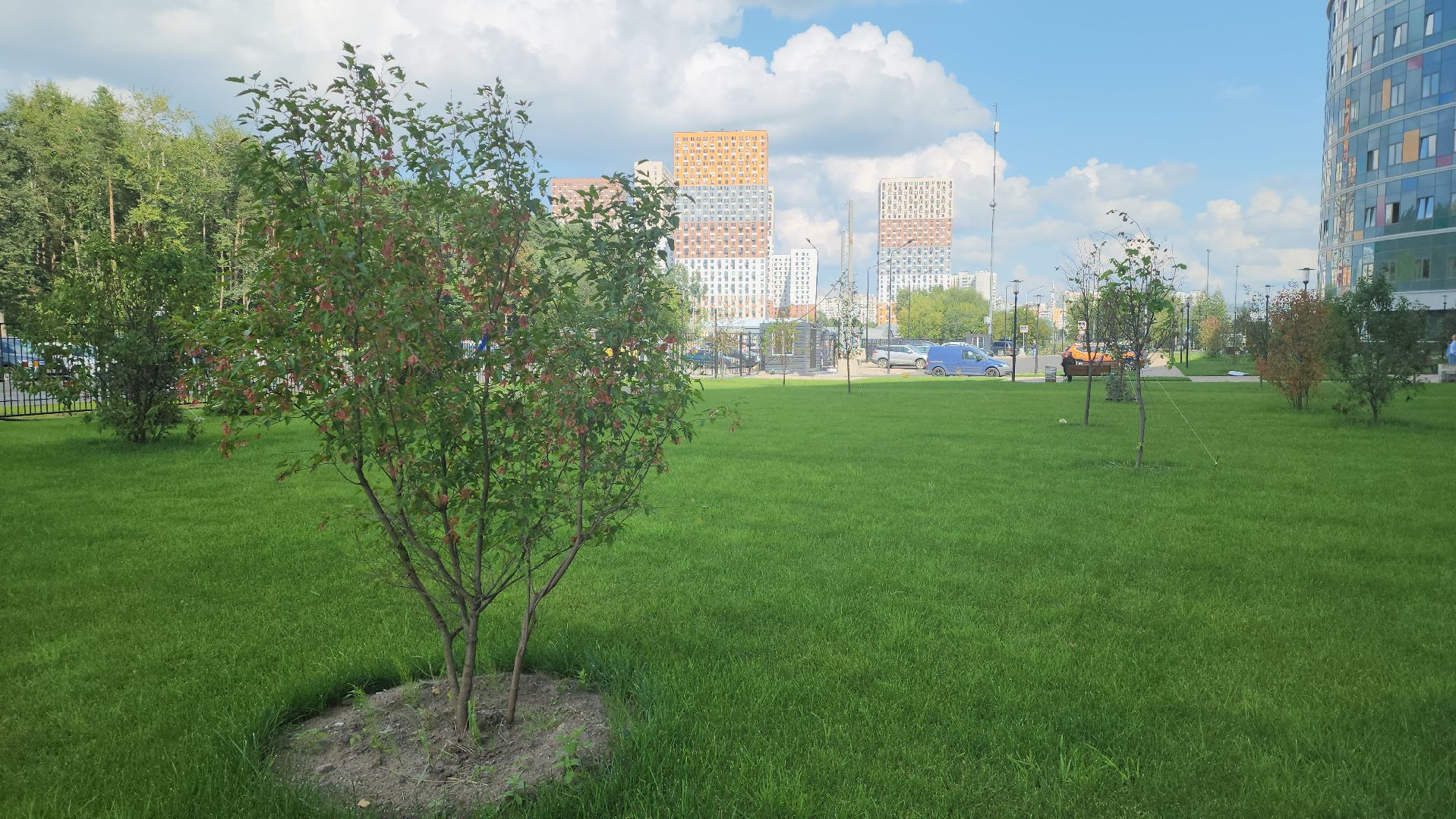 рошаль, красногорск, детский клинический центр, благоуйстройство,