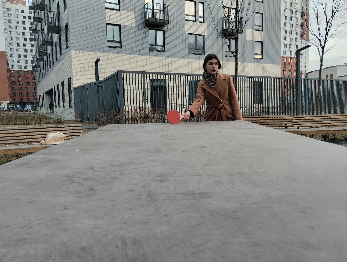 спорт, теннис