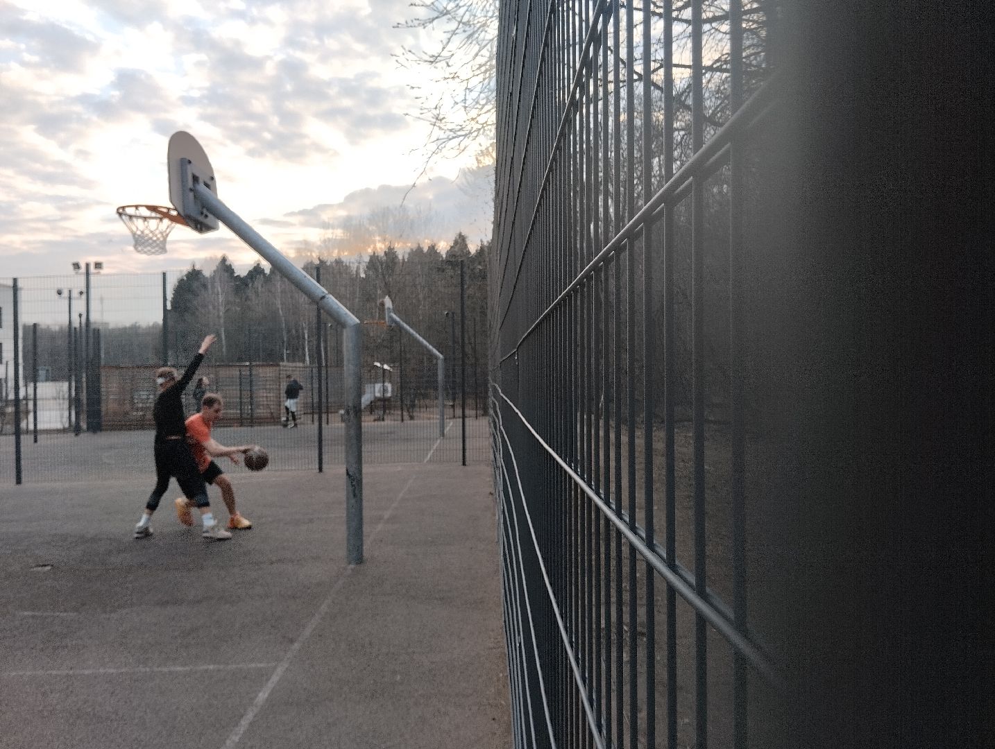 спорт, теннис