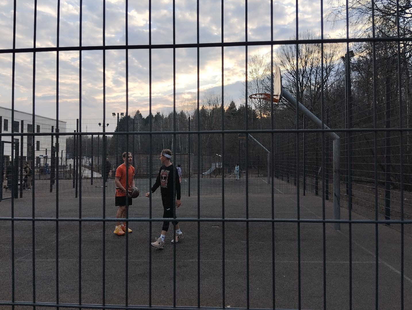 спорт, теннис