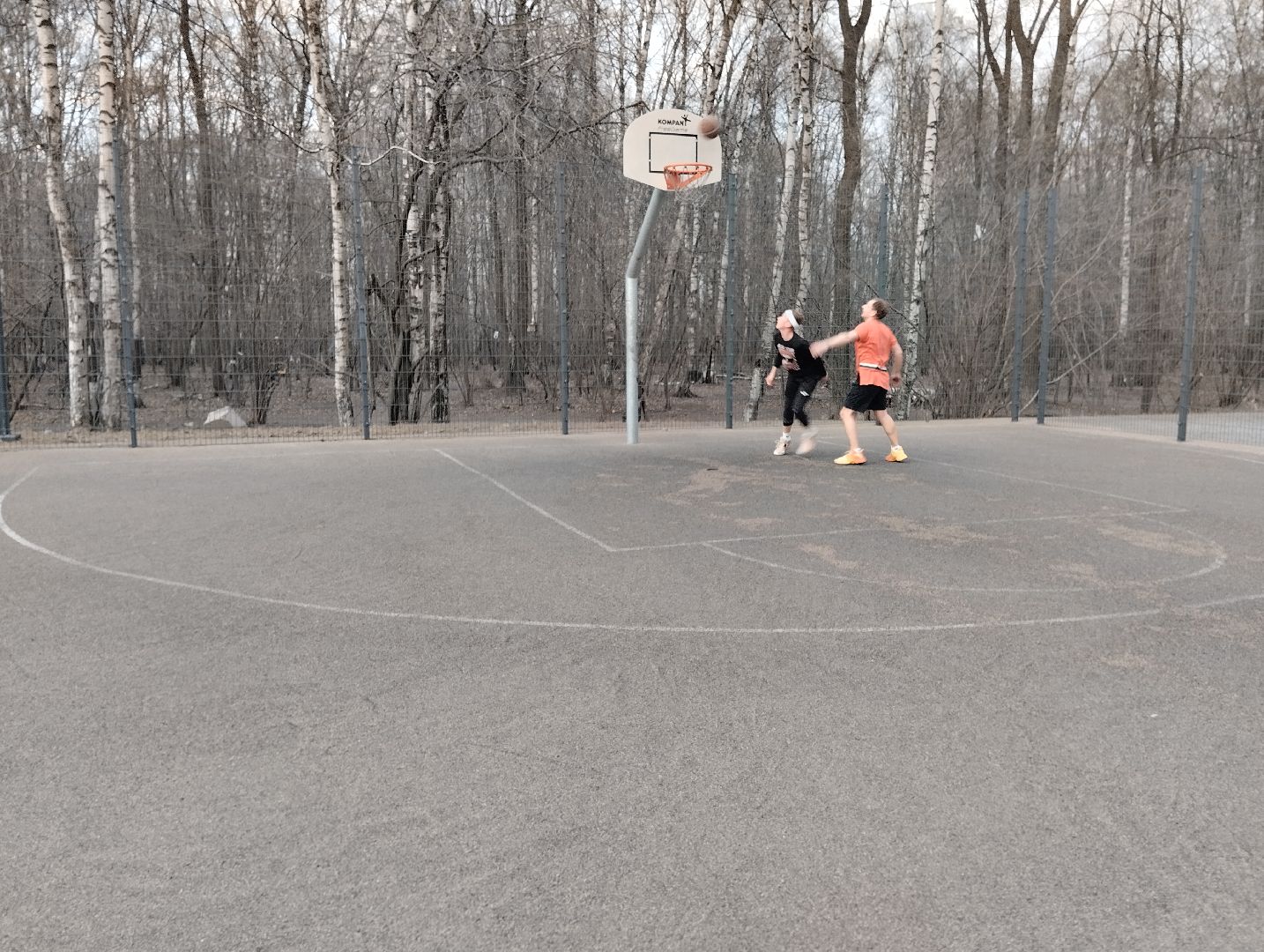 спорт, теннис