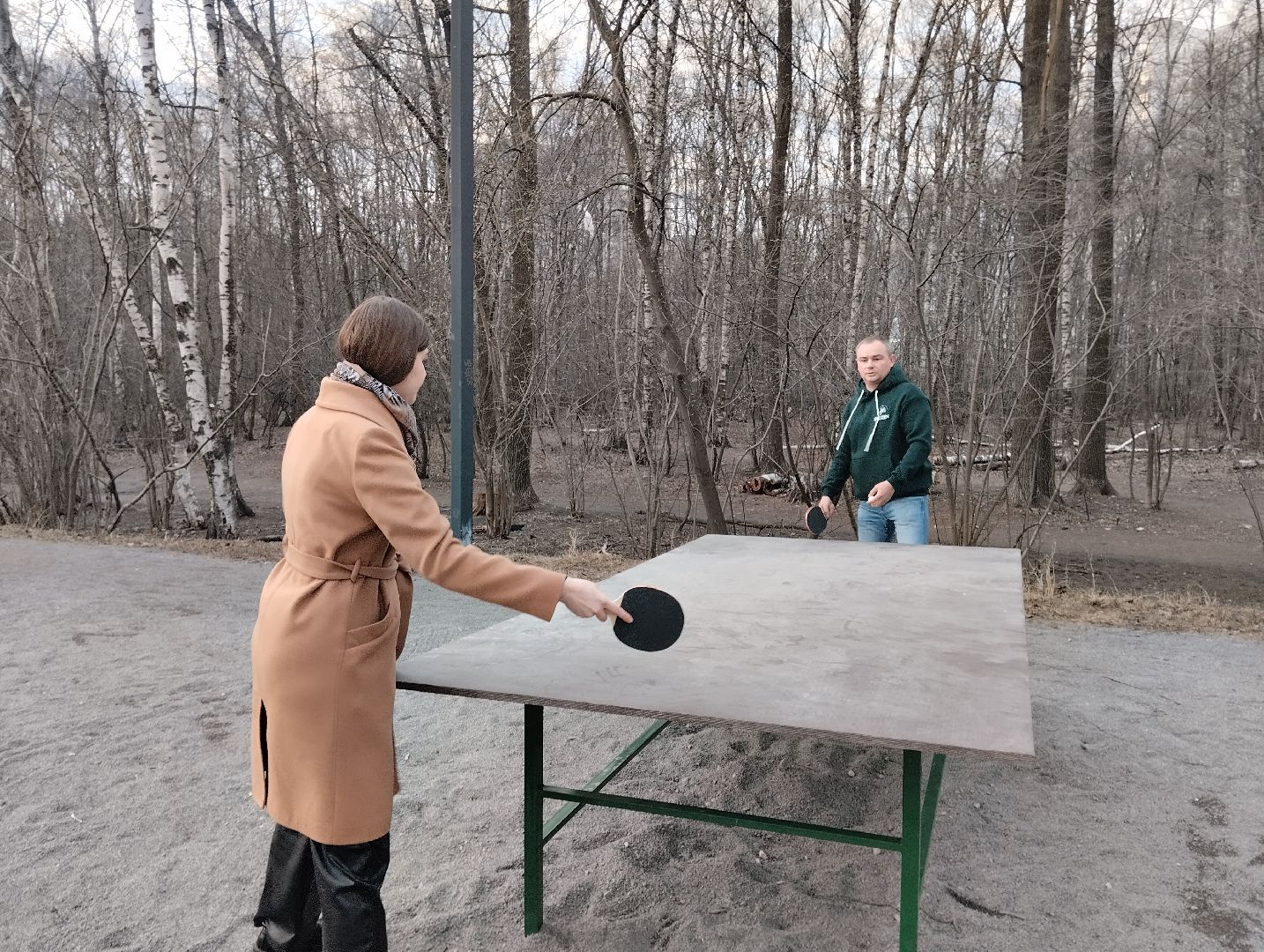 спорт, теннис