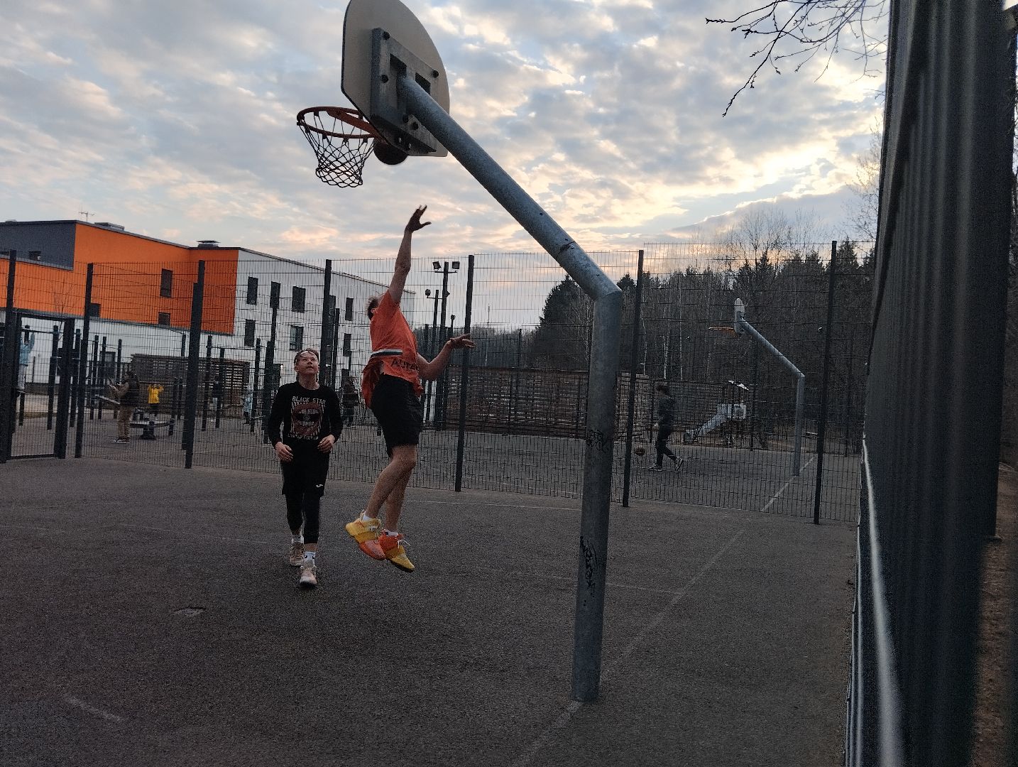 спорт, теннис