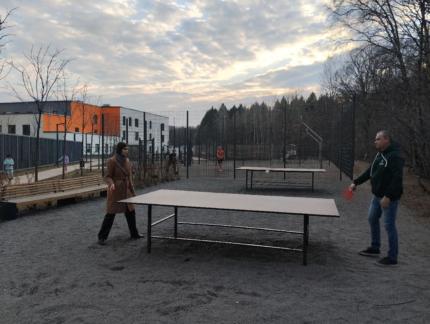 спорт, теннис