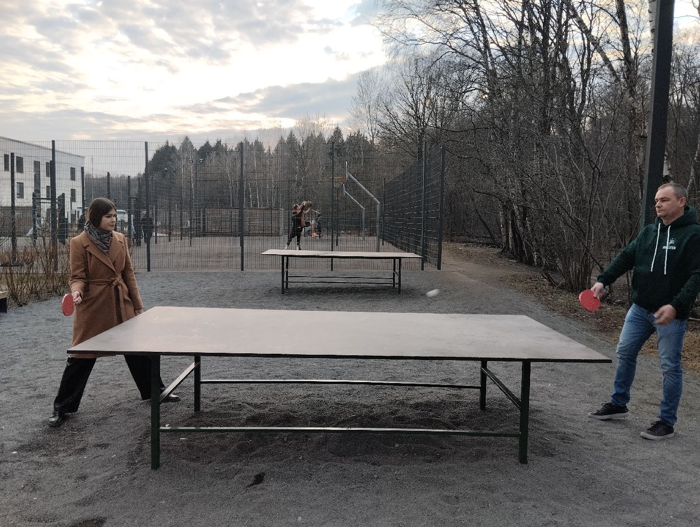 спорт, теннис