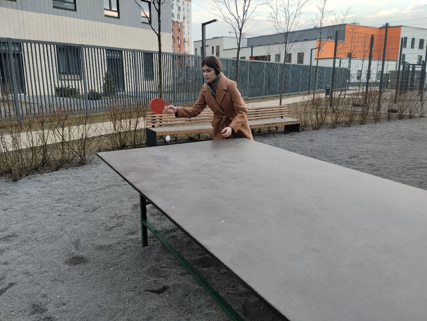 спорт, теннис