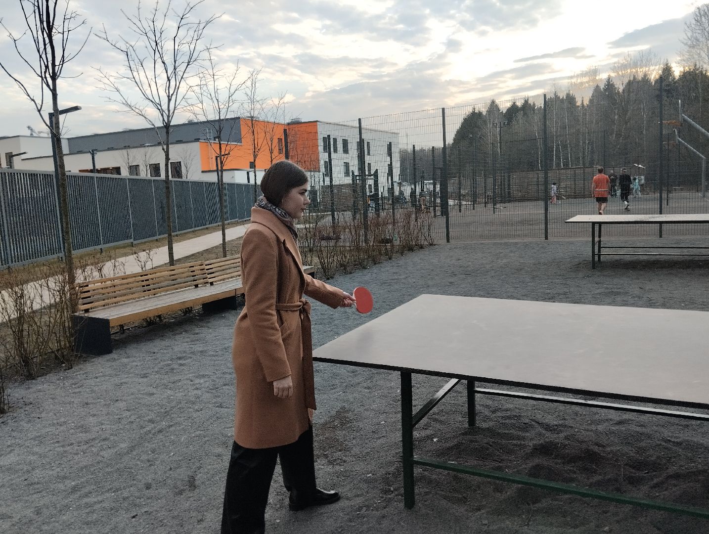 спорт, теннис