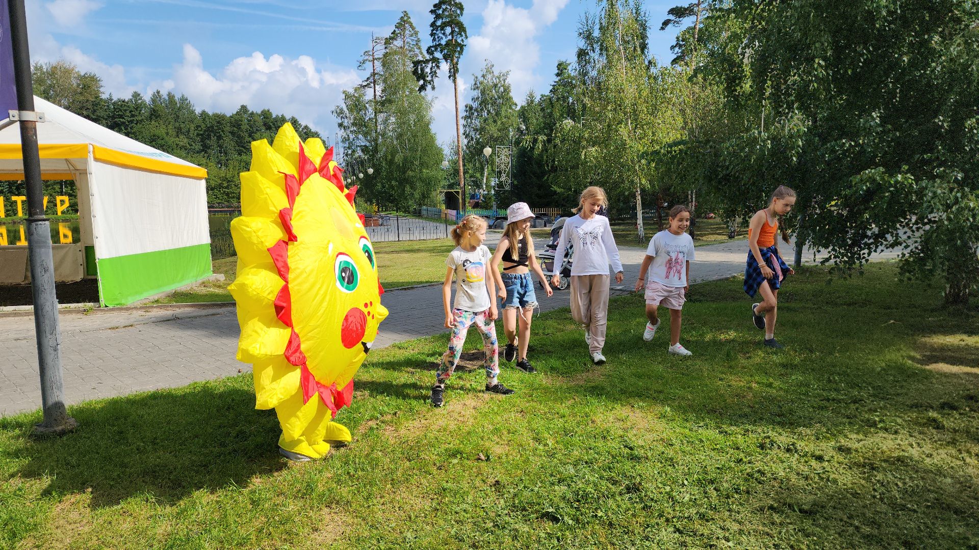 флешмоб, шатура, лагерь отдыха, культурная шатура,