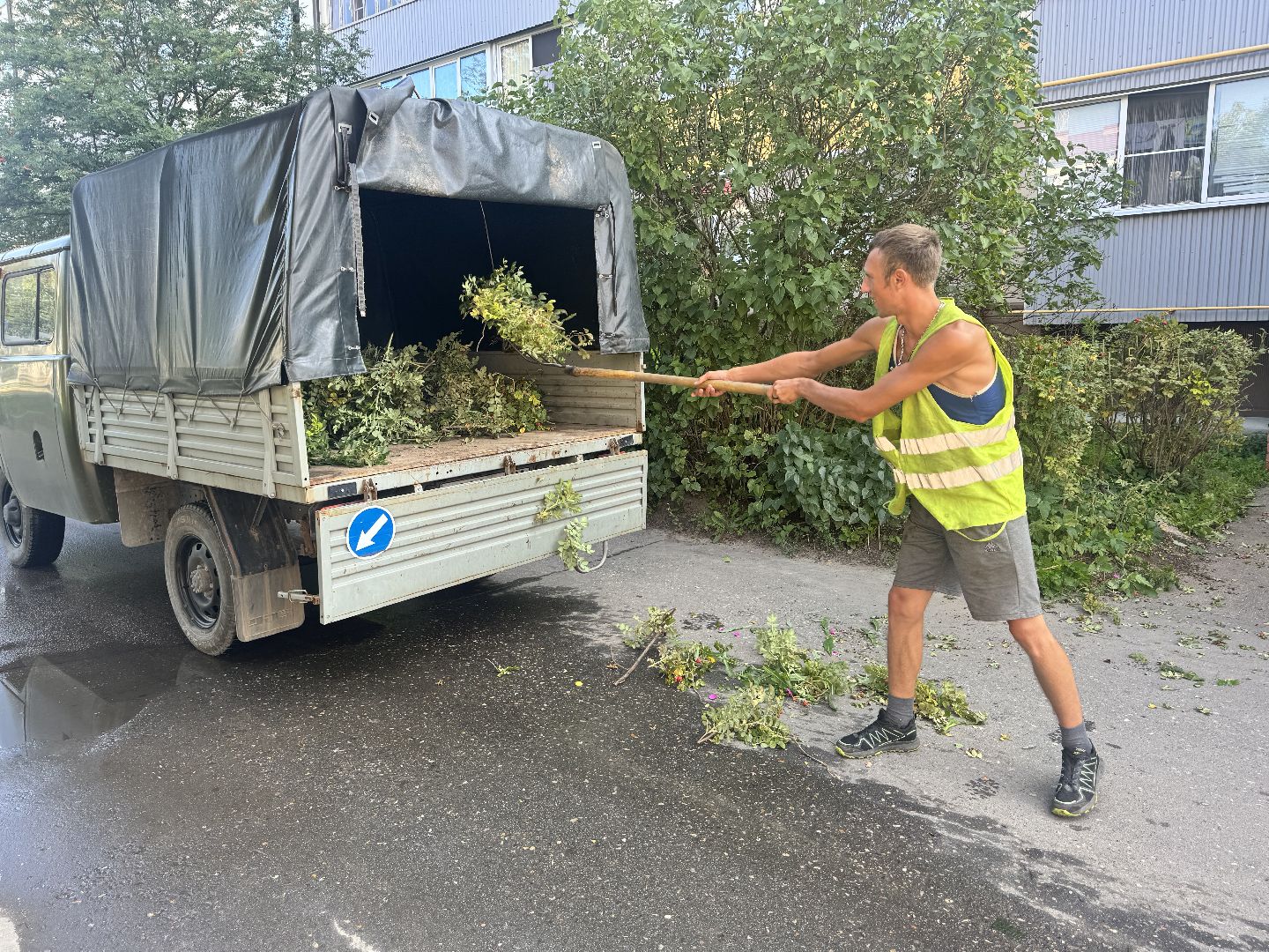 шаховская, коммунальная служба, обрезка кустов,