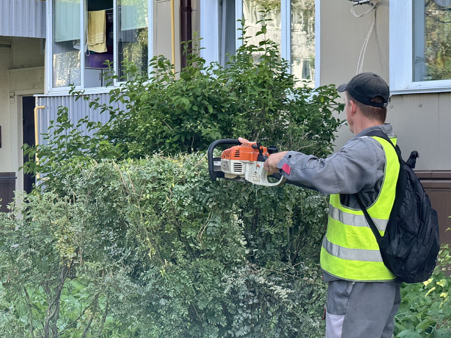 шаховская, коммунальная служба, обрезка кустов,