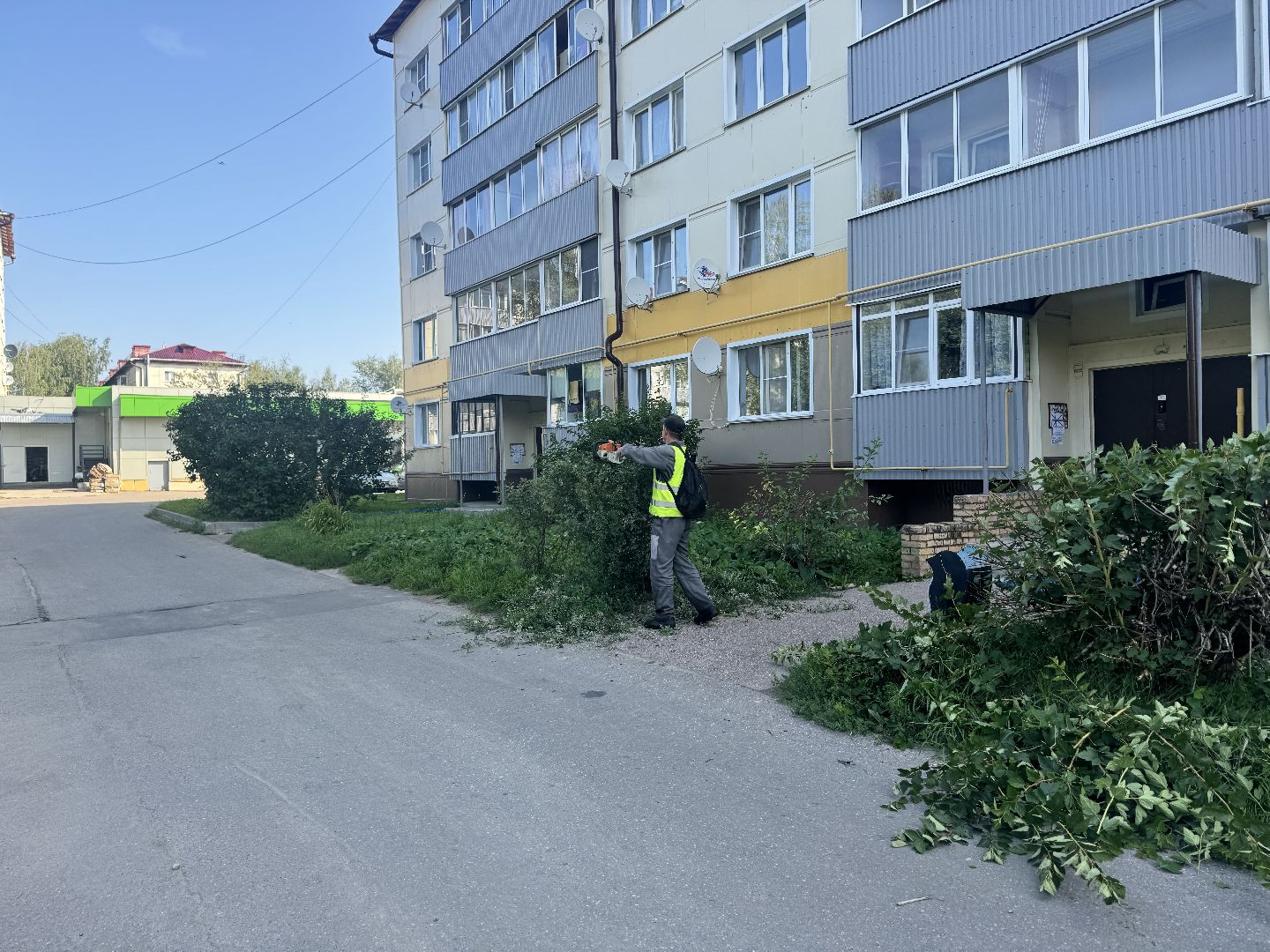 шаховская, коммунальная служба, обрезка кустов,