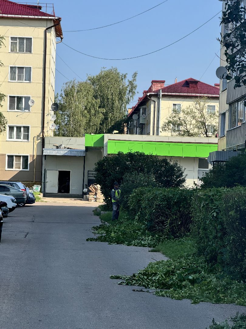 шаховская, коммунальная служба, обрезка кустов,