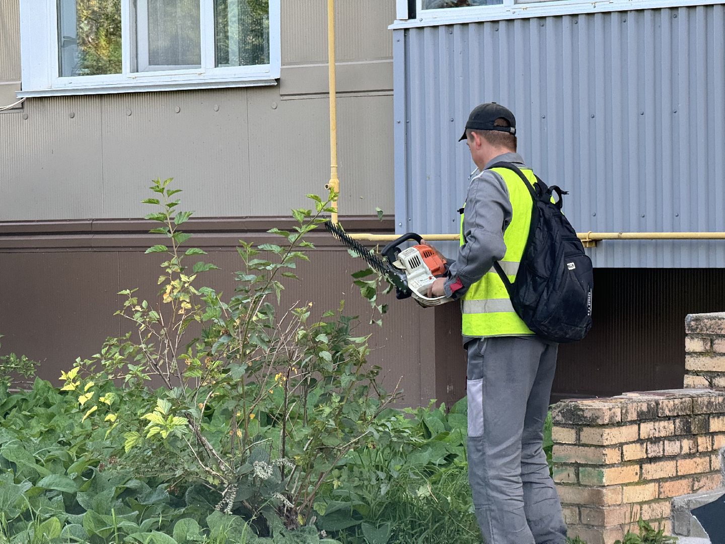 шаховская, коммунальная служба, обрезка кустов,