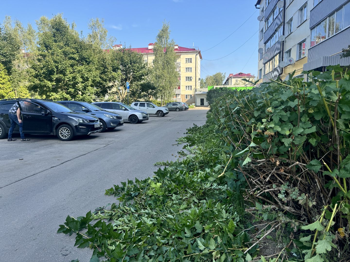 шаховская, коммунальная служба, обрезка кустов,