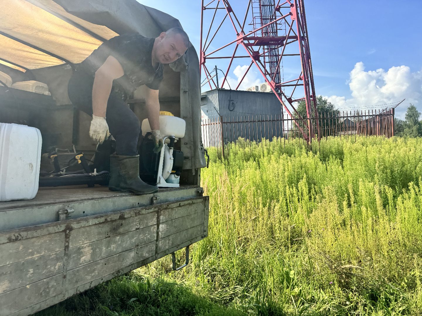 шаховская, борщевик, борщевик сосновского, обработка от борщевика, коммунальная служба,