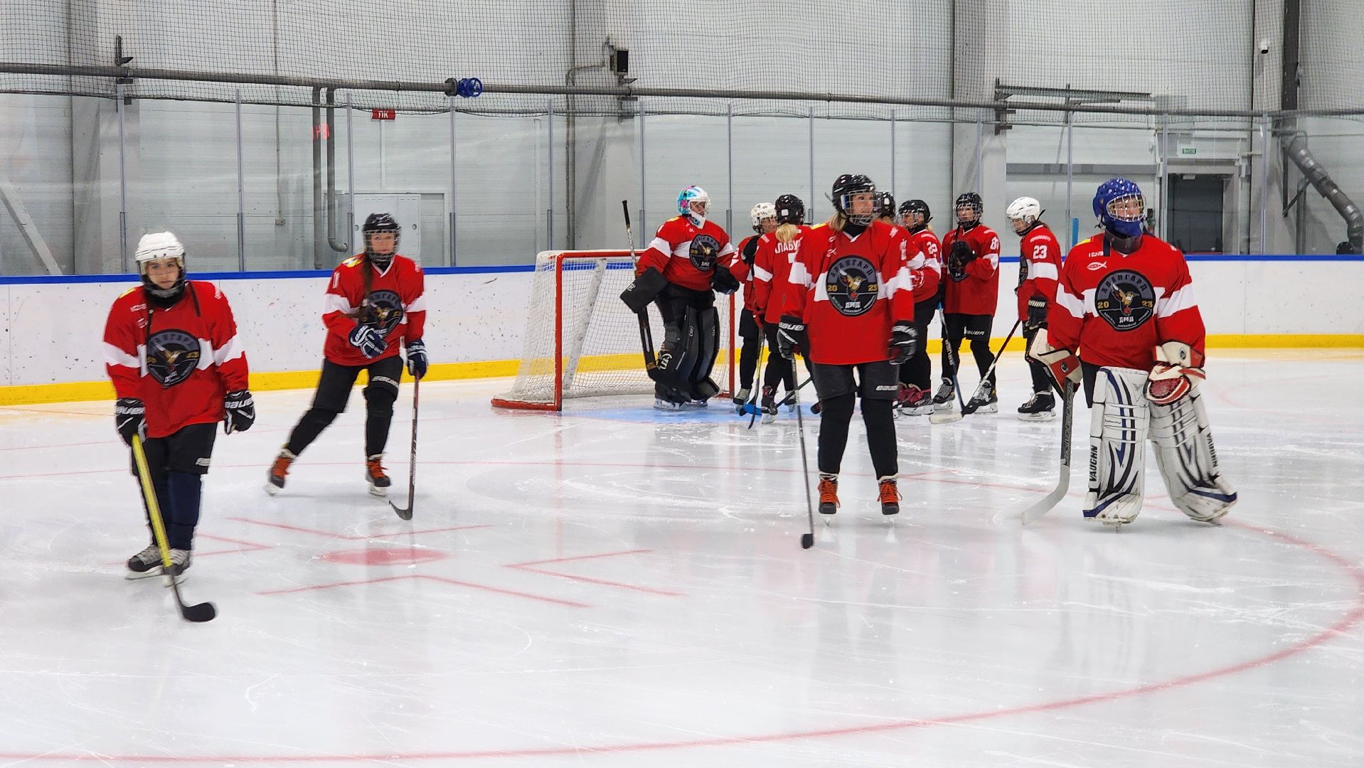 Спорт, НЖХЛ, Хоккей, Женская команда, Домодедово, подмосковье,