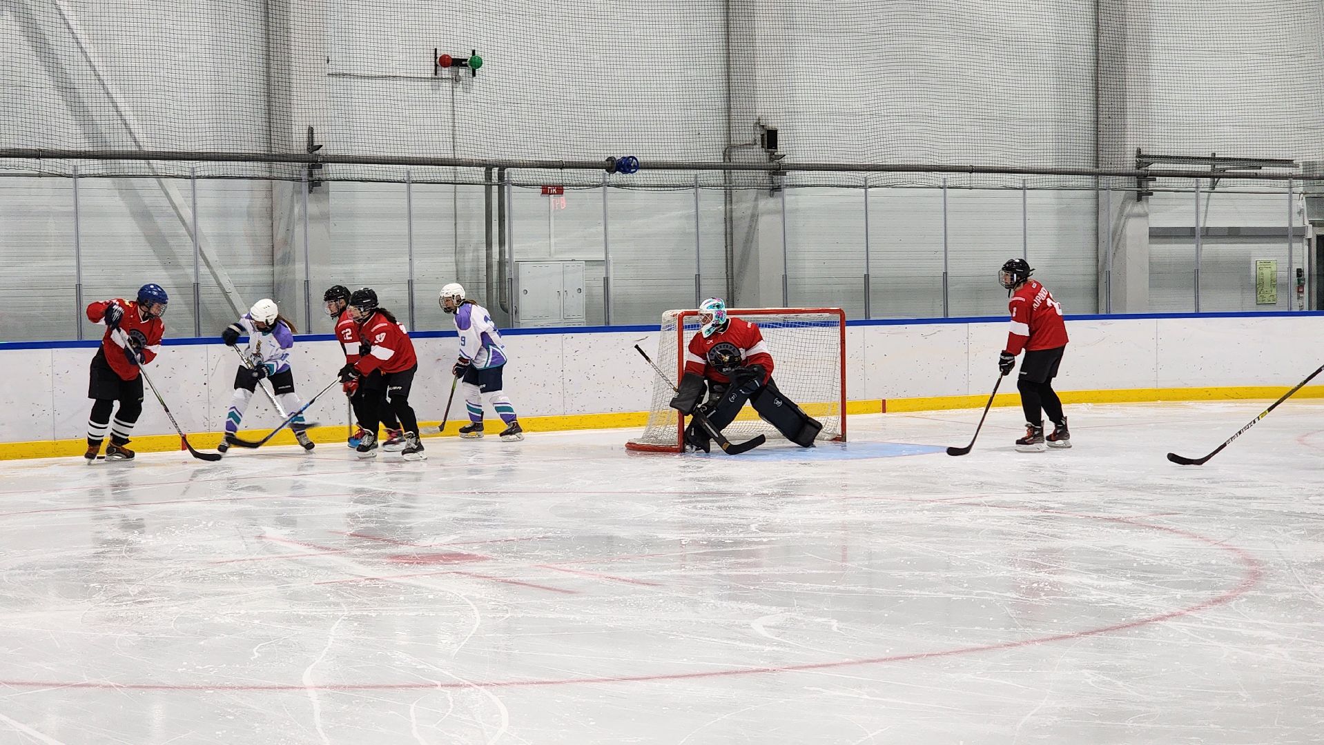 Спорт, НЖХЛ, Хоккей, Женская команда, Домодедово, подмосковье,