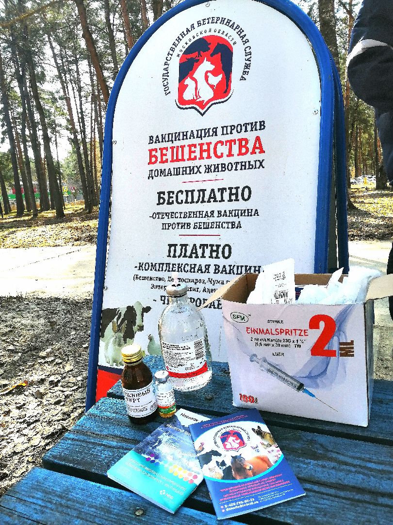 Протвино, вакцинация, бешенство, домашние животные, забота