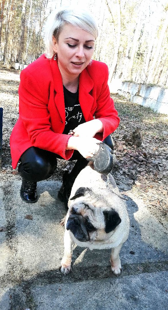 Протвино, вакцинация, бешенство, домашние животные, забота