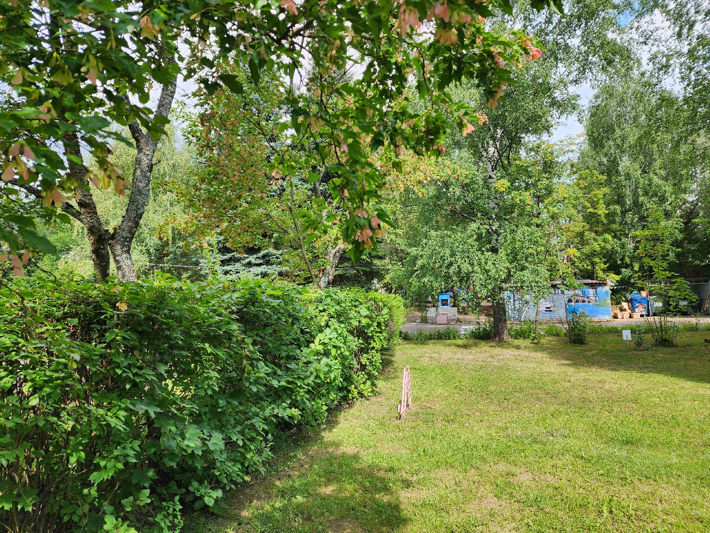 красноармейск, городской округ пушкинский, детские сады, приёмка,