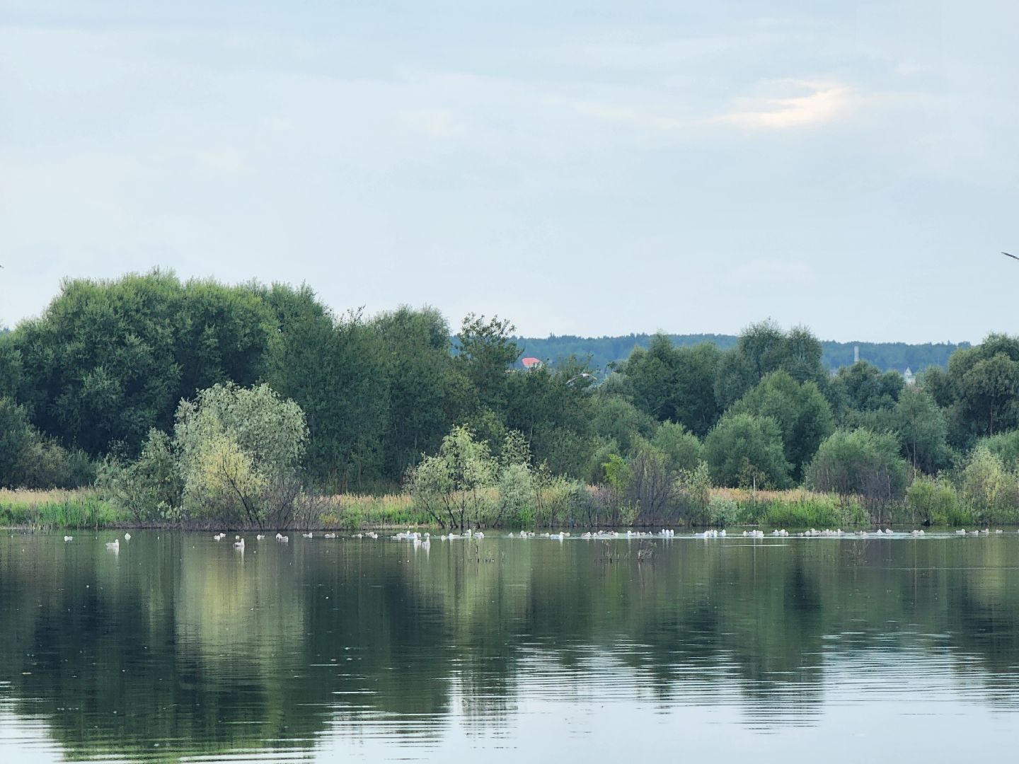 Коломна, Озеры, благоуйстройство, зона отдыха, формирование комфортной городской среды,