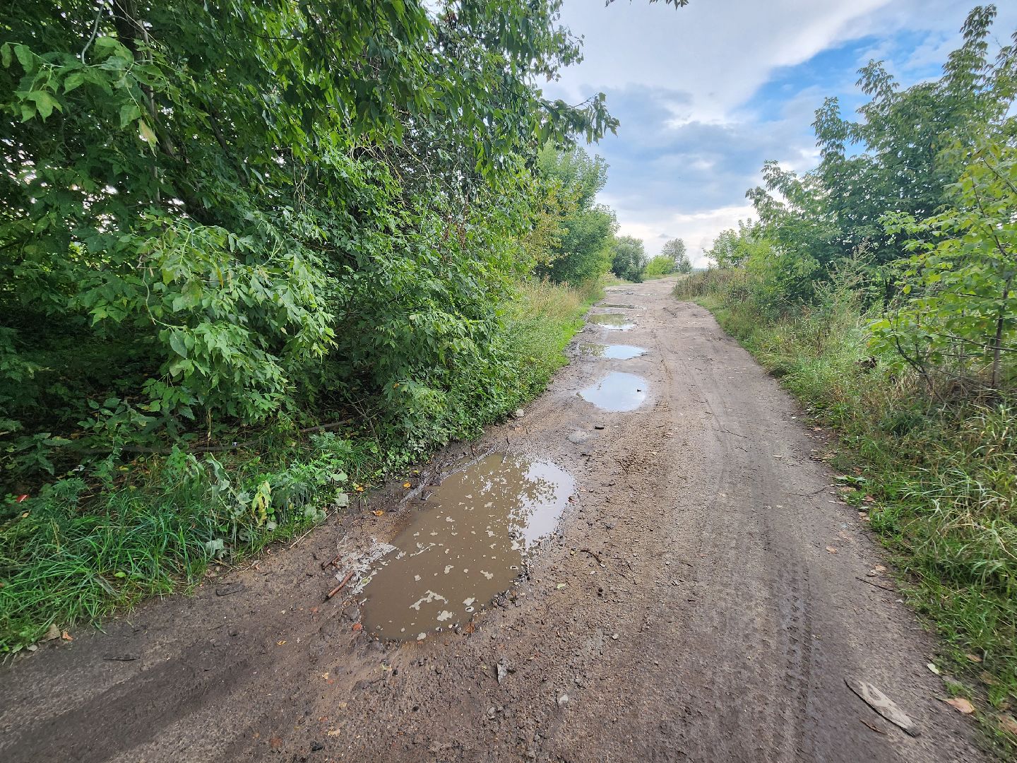 Коломна, Озеры, благоуйстройство, зона отдыха, формирование комфортной городской среды,