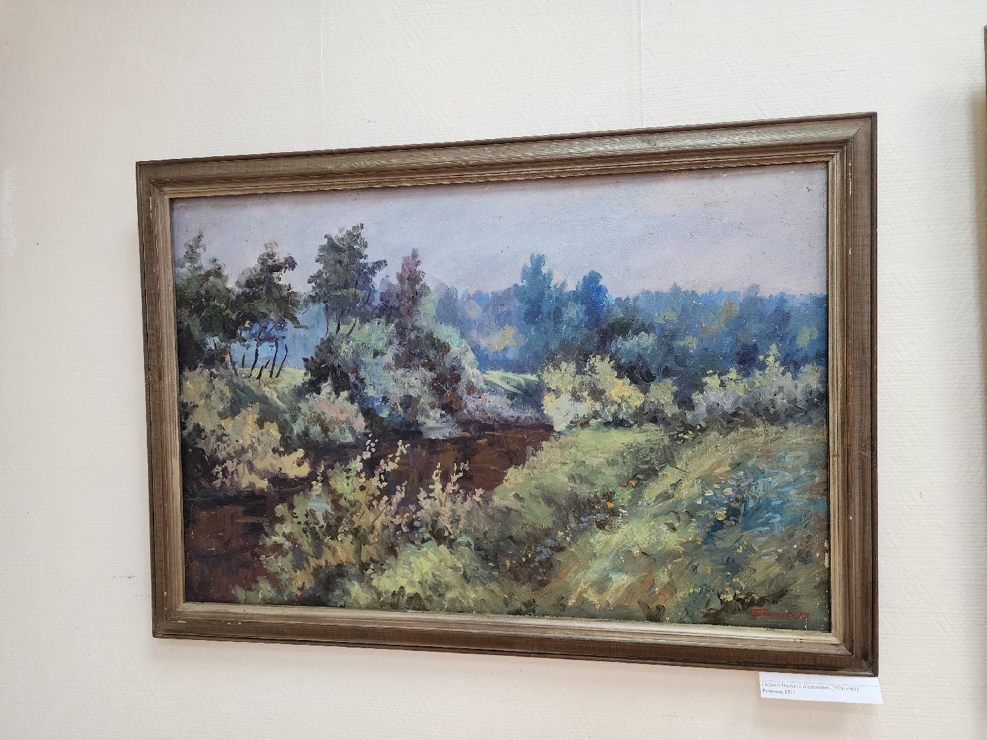 красноармейск,городской округ пушкинский, картинная галерея, росизо,