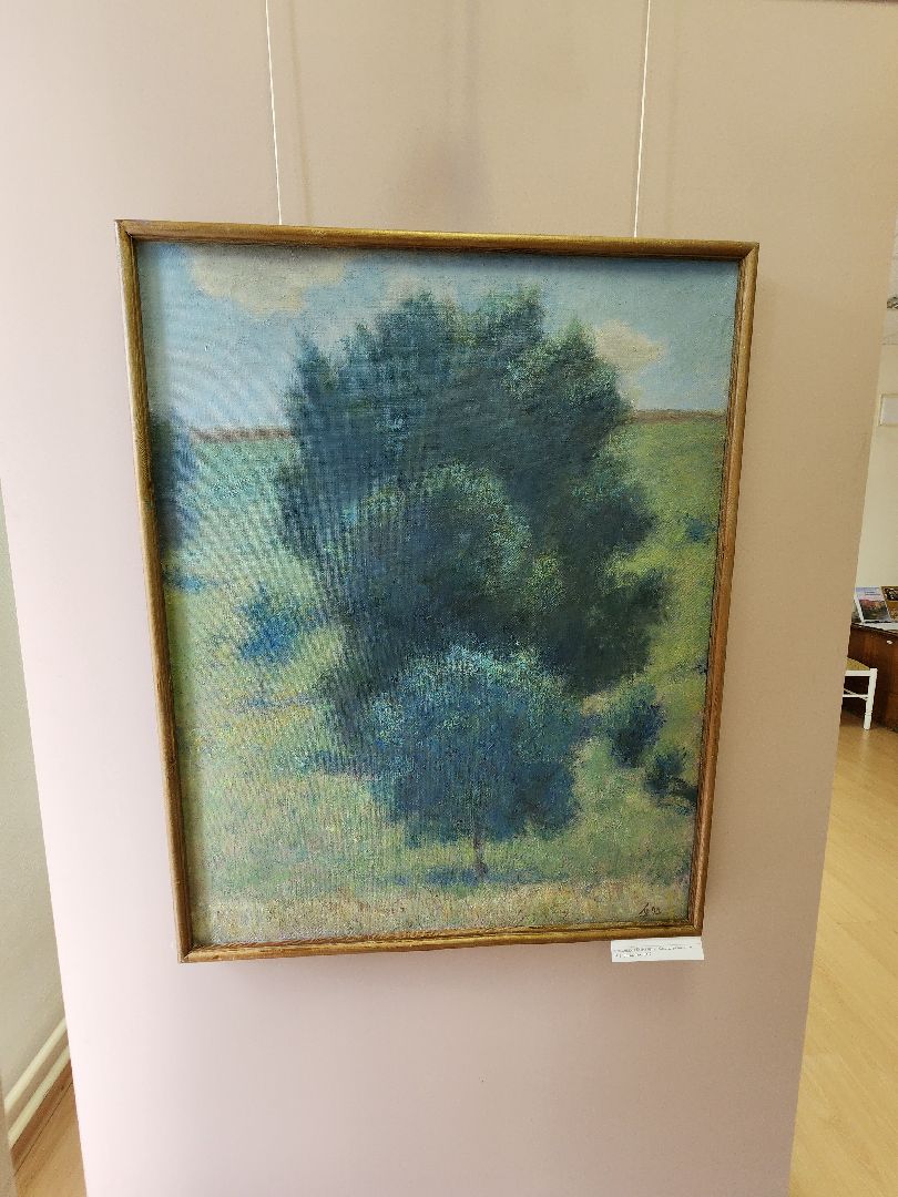 красноармейск,городской округ пушкинский, картинная галерея, росизо,