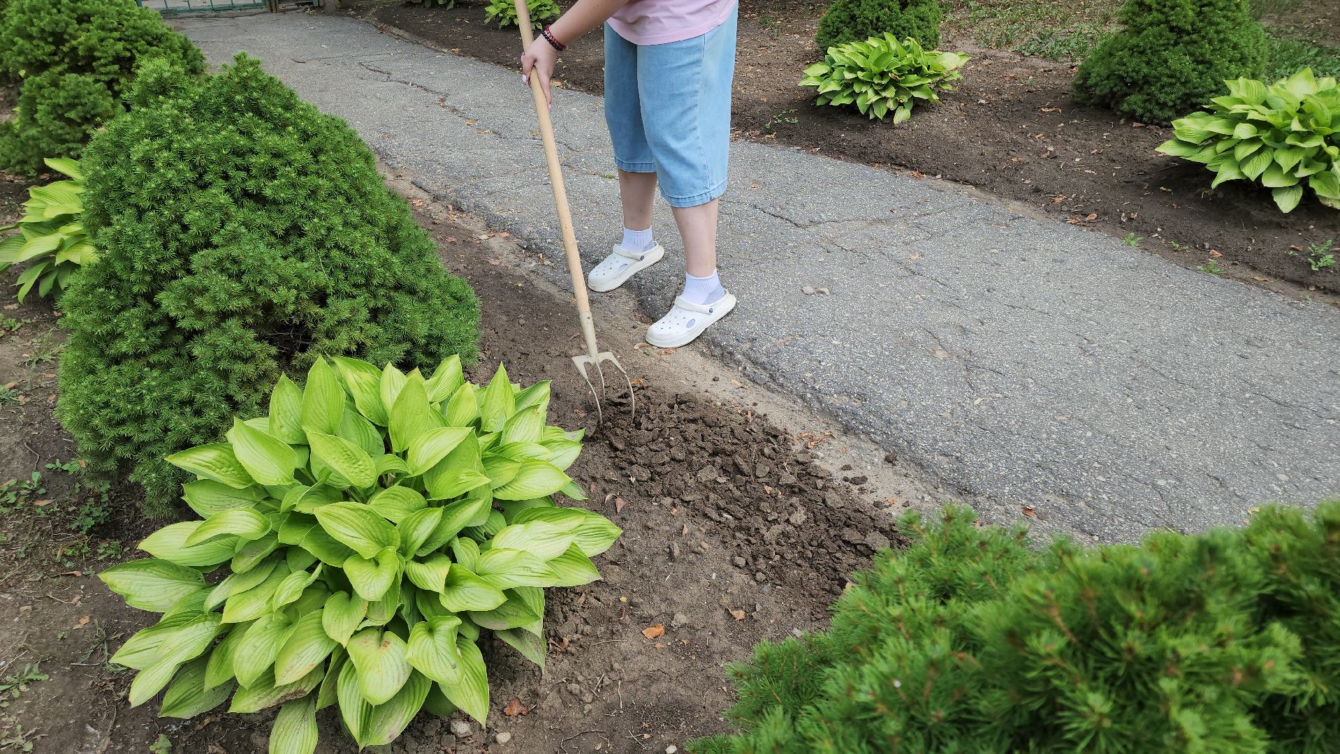 кашира, трудовой лагерь, летние каникулы, детский экологический центр, уход за животными,