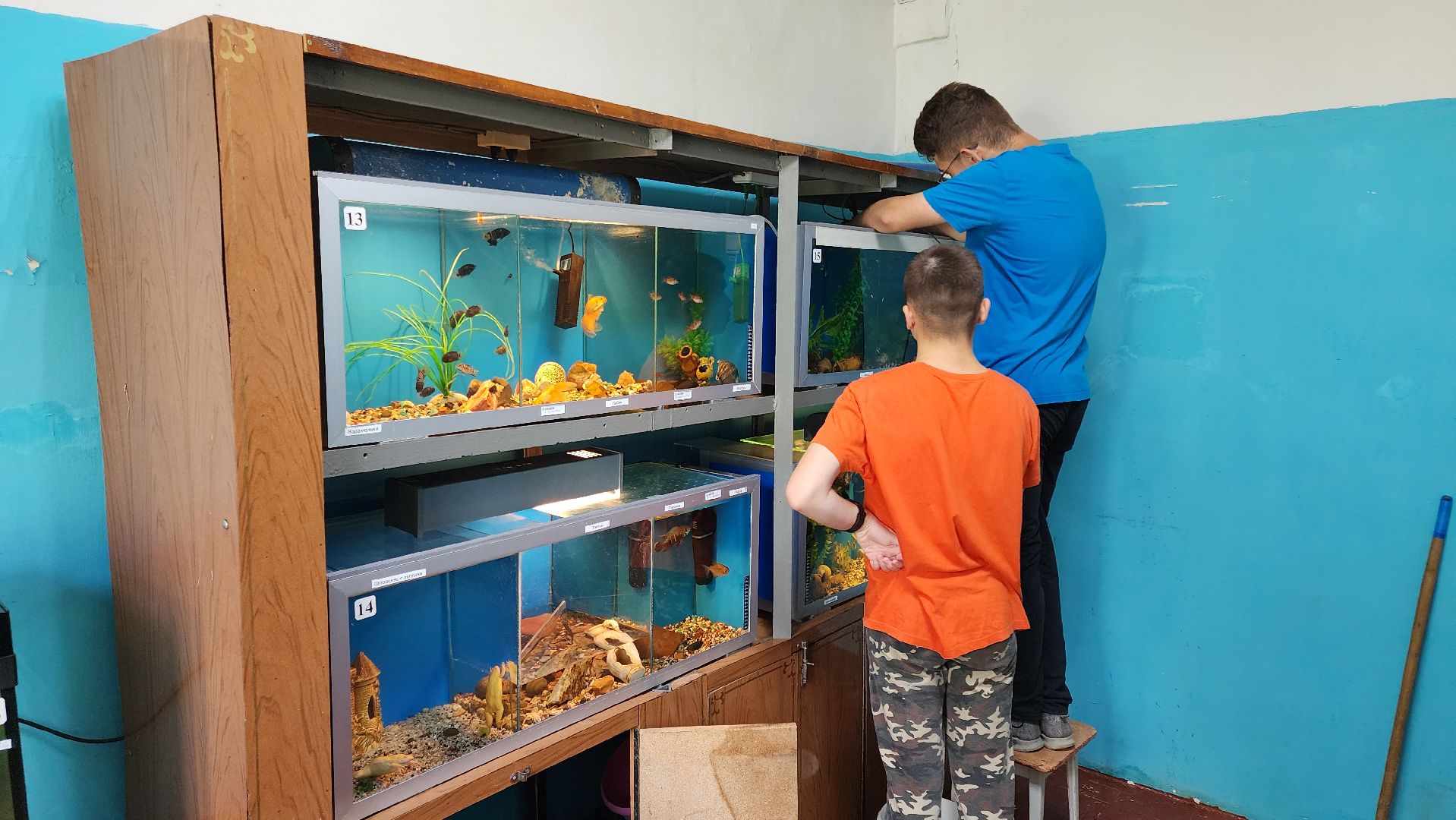 кашира, трудовой лагерь, летние каникулы, детский экологический центр, уход за животными,