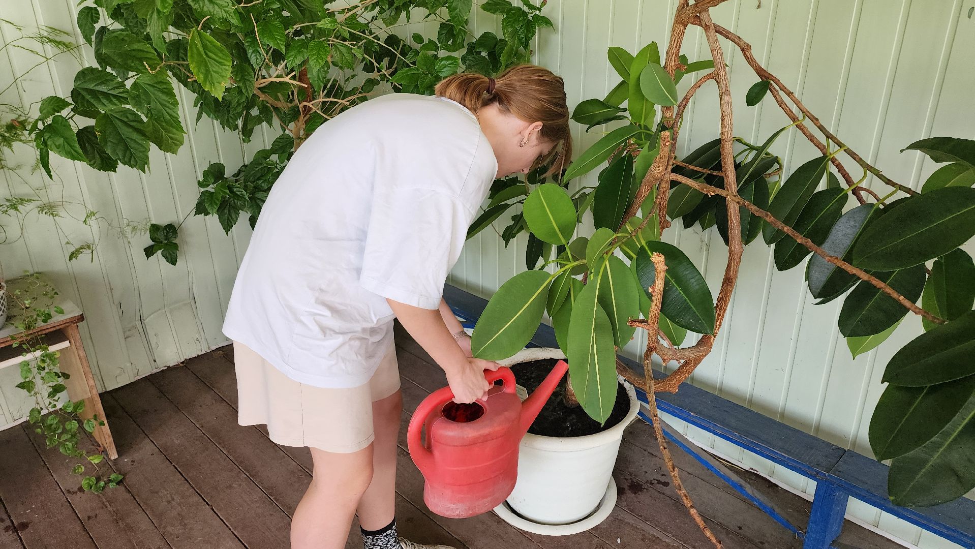 кашира, трудовой лагерь, летние каникулы, детский экологический центр, уход за животными,