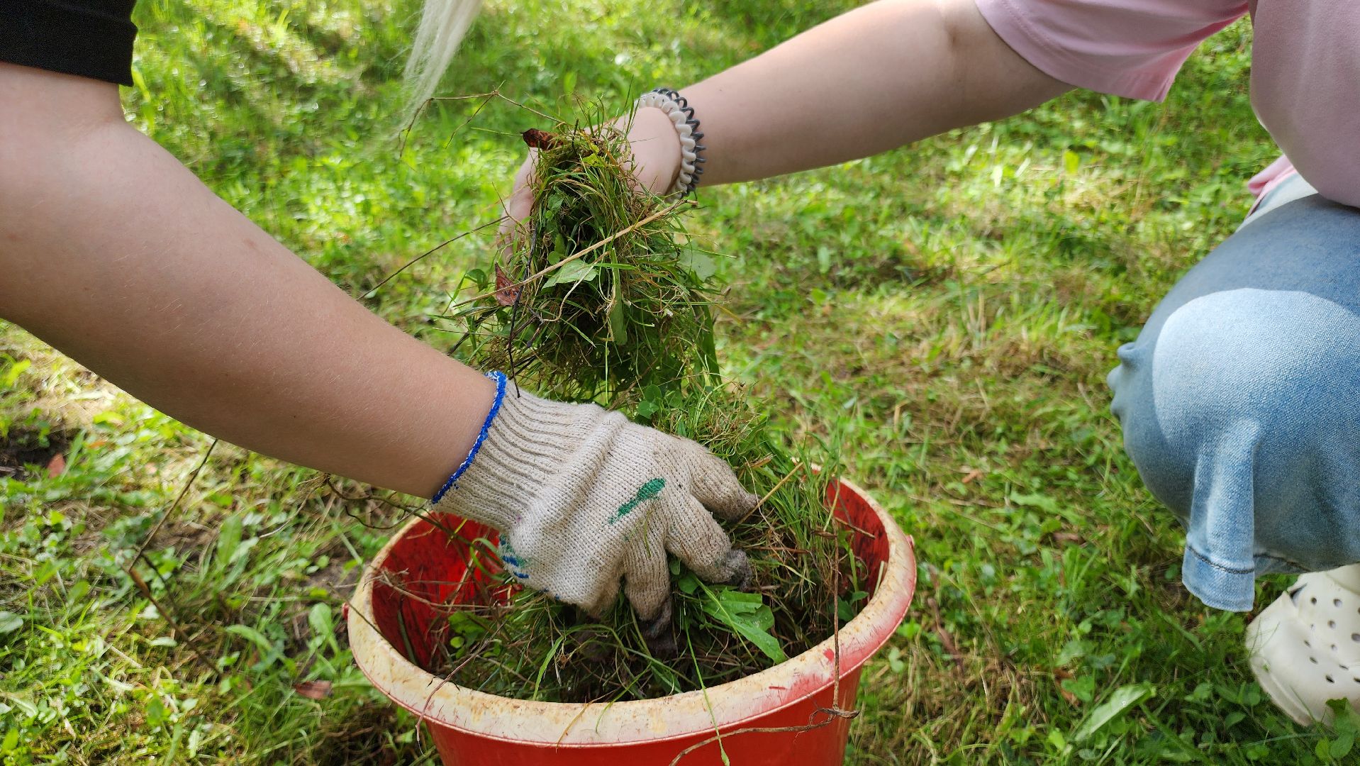 кашира, трудовой лагерь, летние каникулы, детский экологический центр, уход за животными,