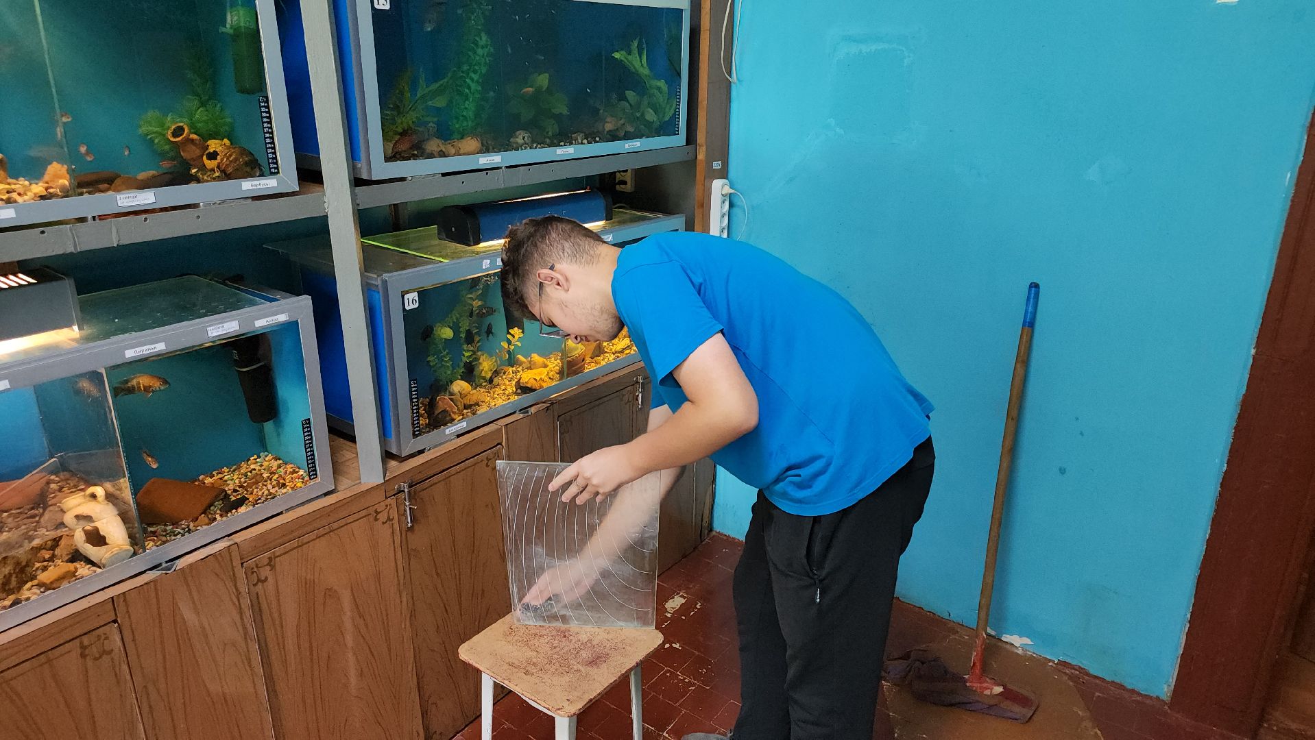 кашира, трудовой лагерь, летние каникулы, детский экологический центр, уход за животными,