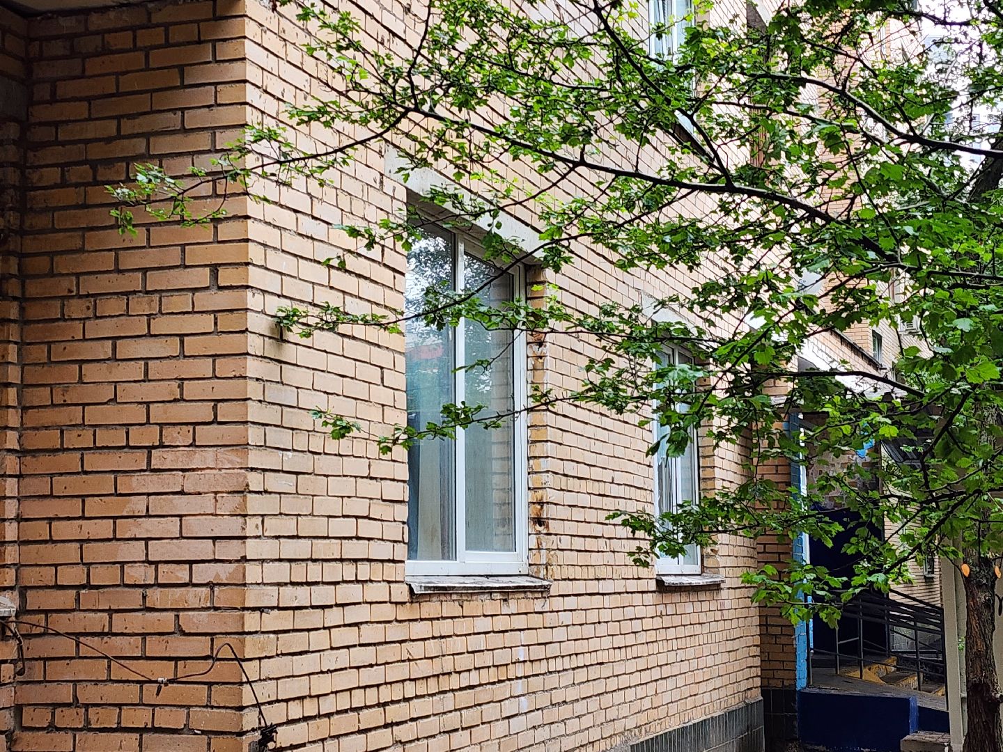 безопасный регион, безопасный двор, мытищи,