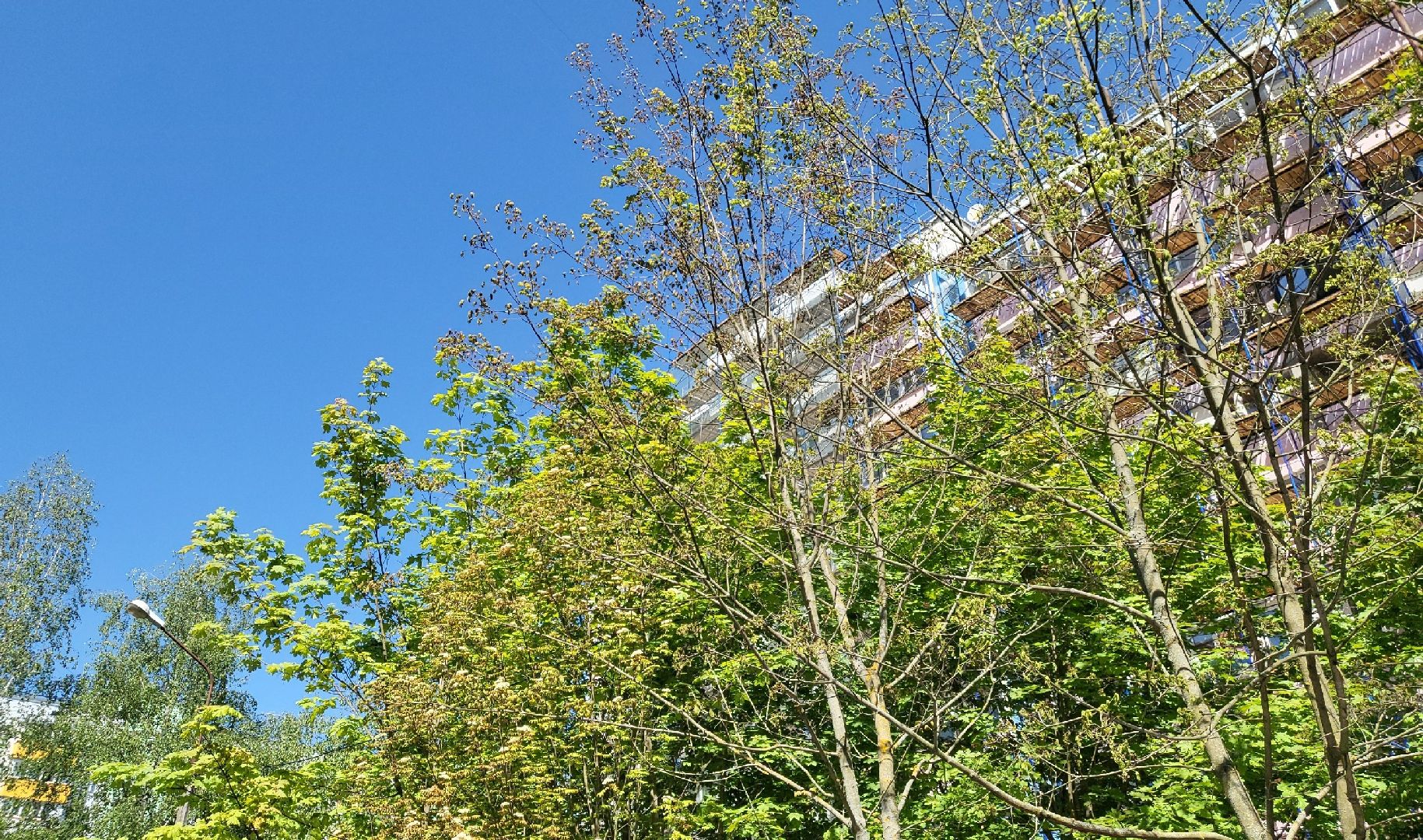 капремонт мкд власиха, капитальный ремонт домов, фонд капитального ремонта МО, ФКР МО, Власиха капремонт домов,