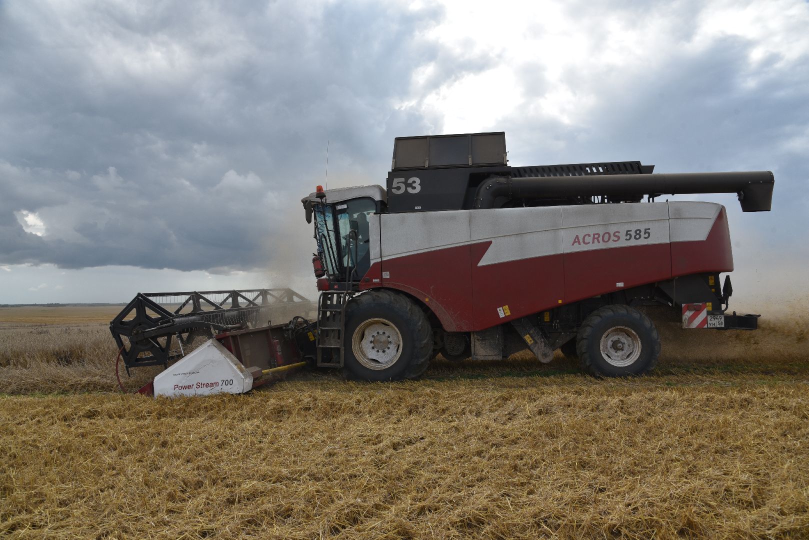 лотошино, сельское хозяйство, пшеница, урожай,