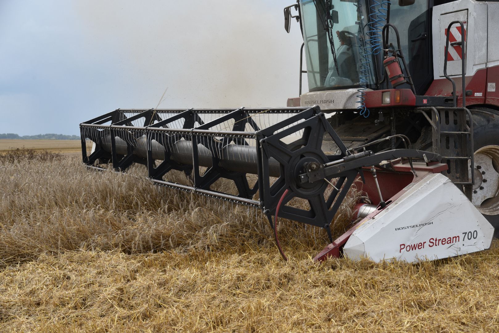 лотошино, сельское хозяйство, пшеница, урожай,