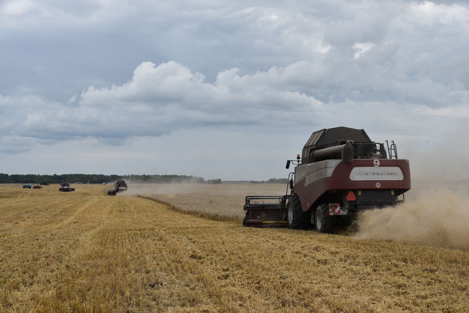 лотошино, сельское хозяйство, пшеница, урожай,