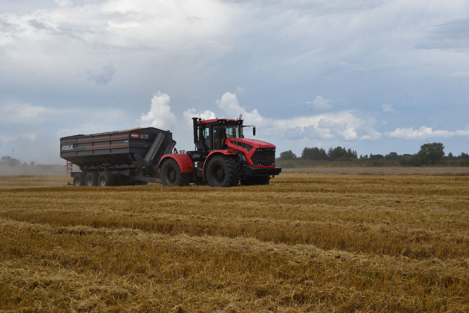 лотошино, сельское хозяйство, пшеница, урожай,