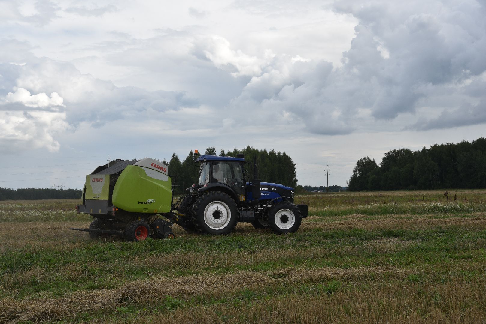 лотошино, сельское хозяйство, пшеница, урожай,