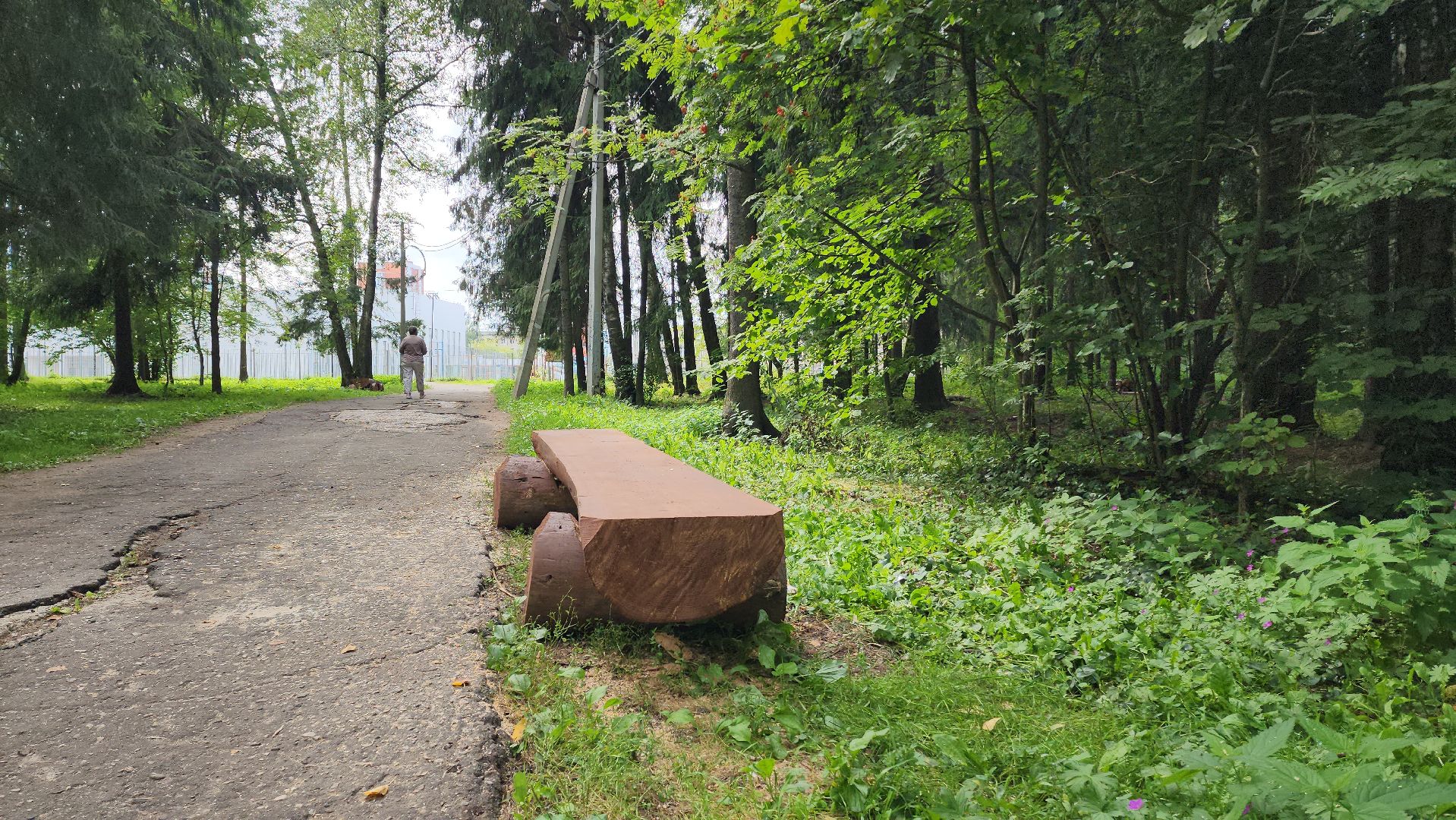 Лес, лавочки, Благоустройство, Лобня,