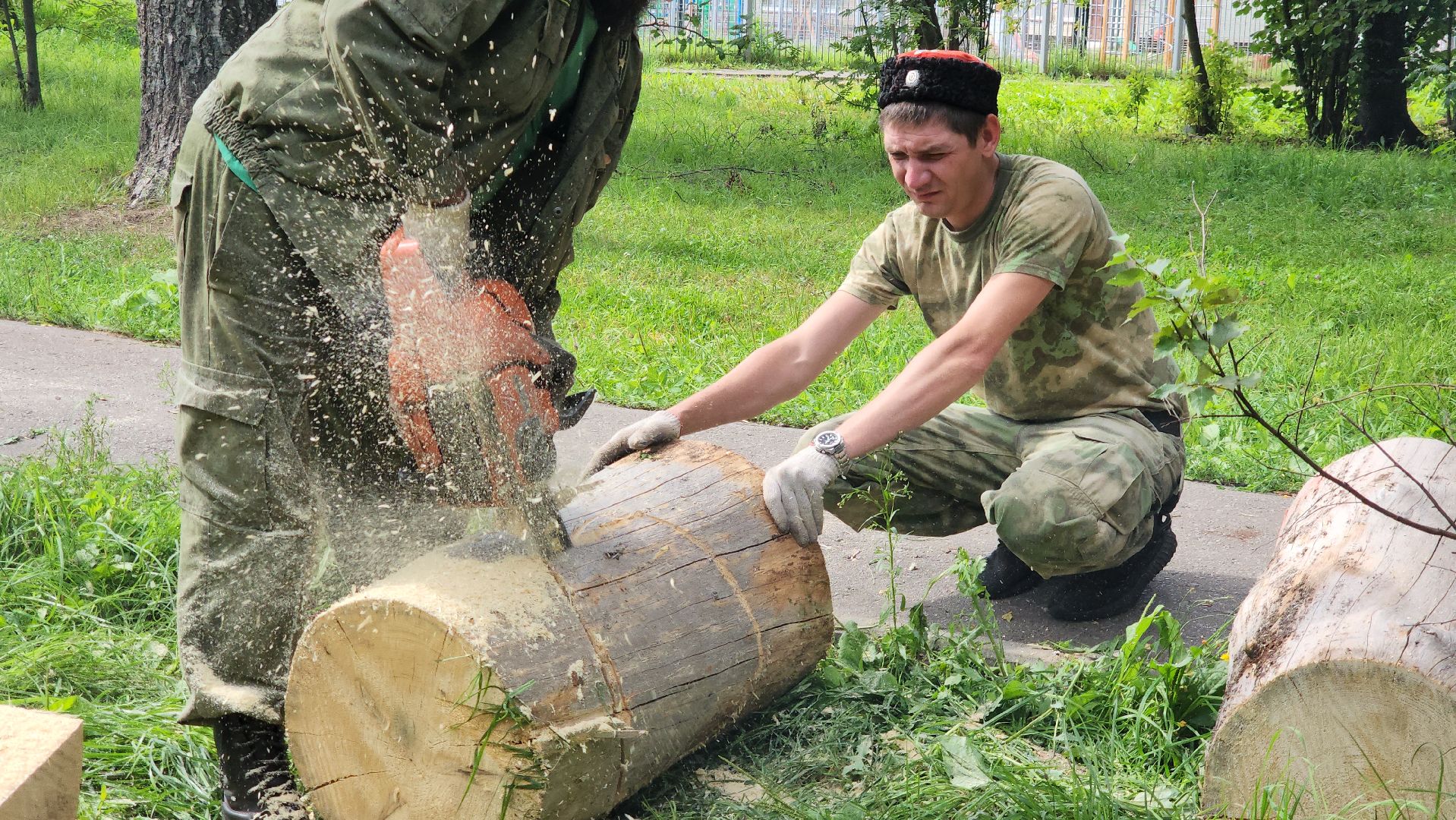 Лес, лавочки, Благоустройство, Лобня,