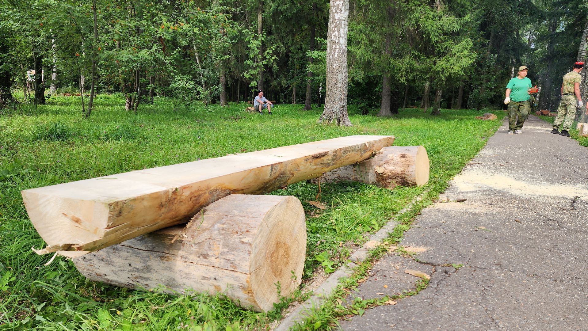 Лес, лавочки, Благоустройство, Лобня,