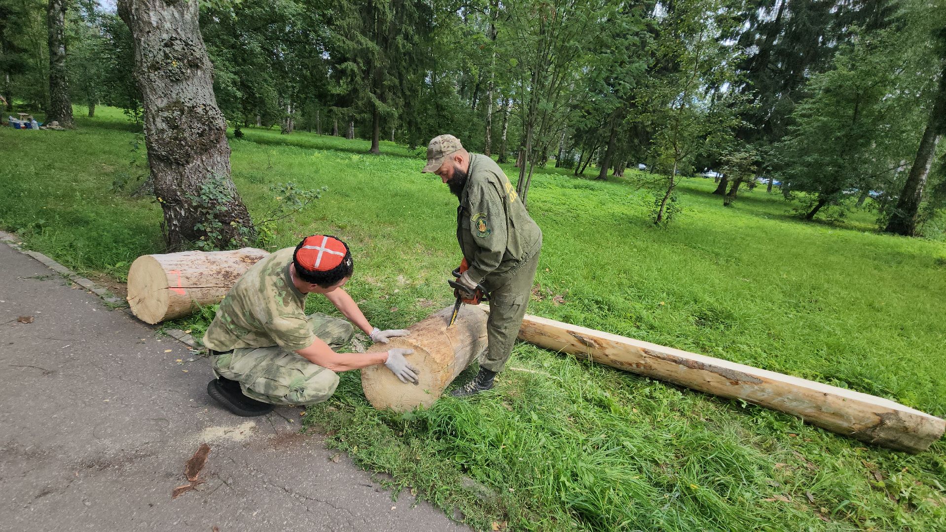 Лес, лавочки, Благоустройство, Лобня,