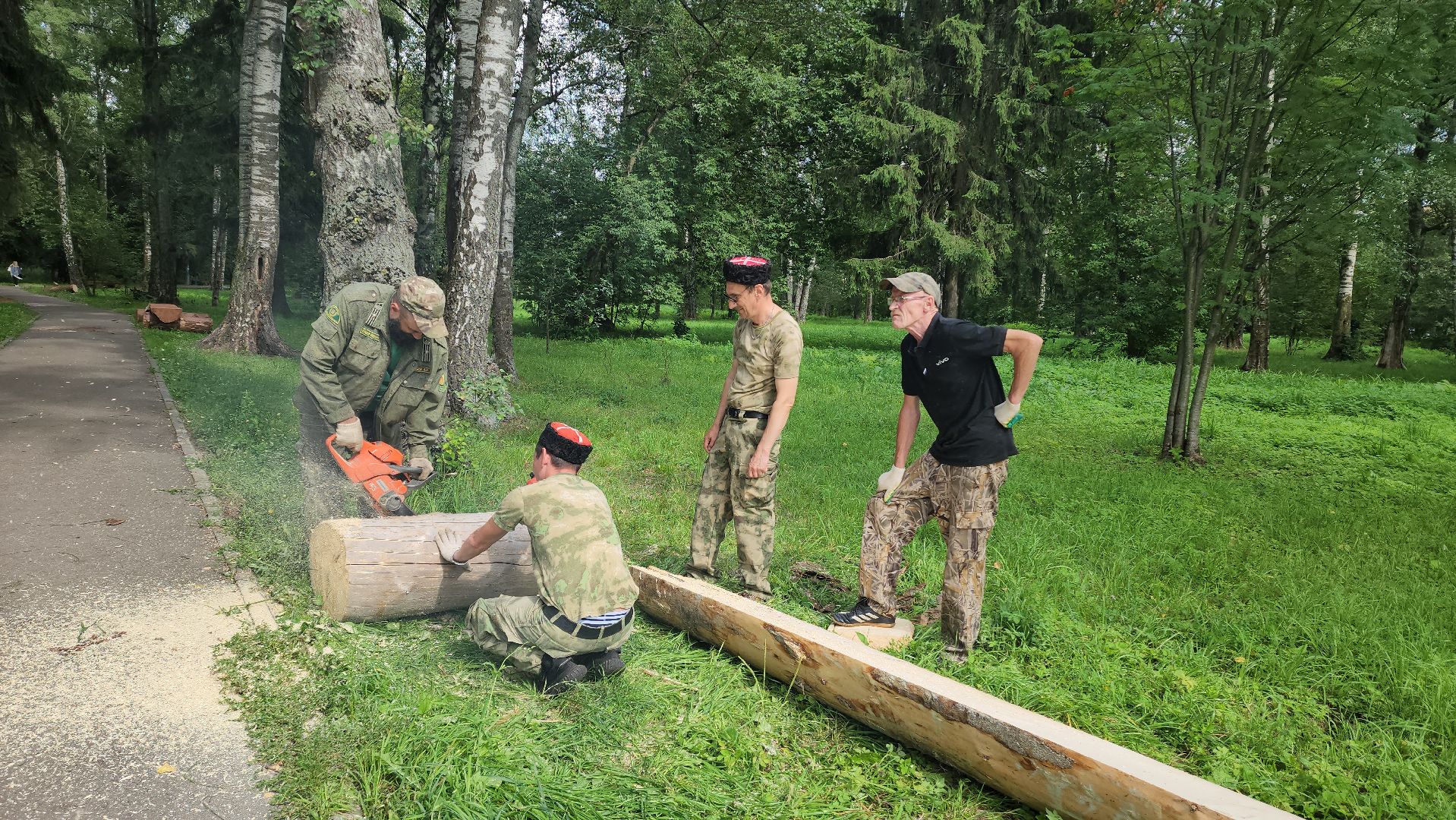 Лес, лавочки, Благоустройство, Лобня,