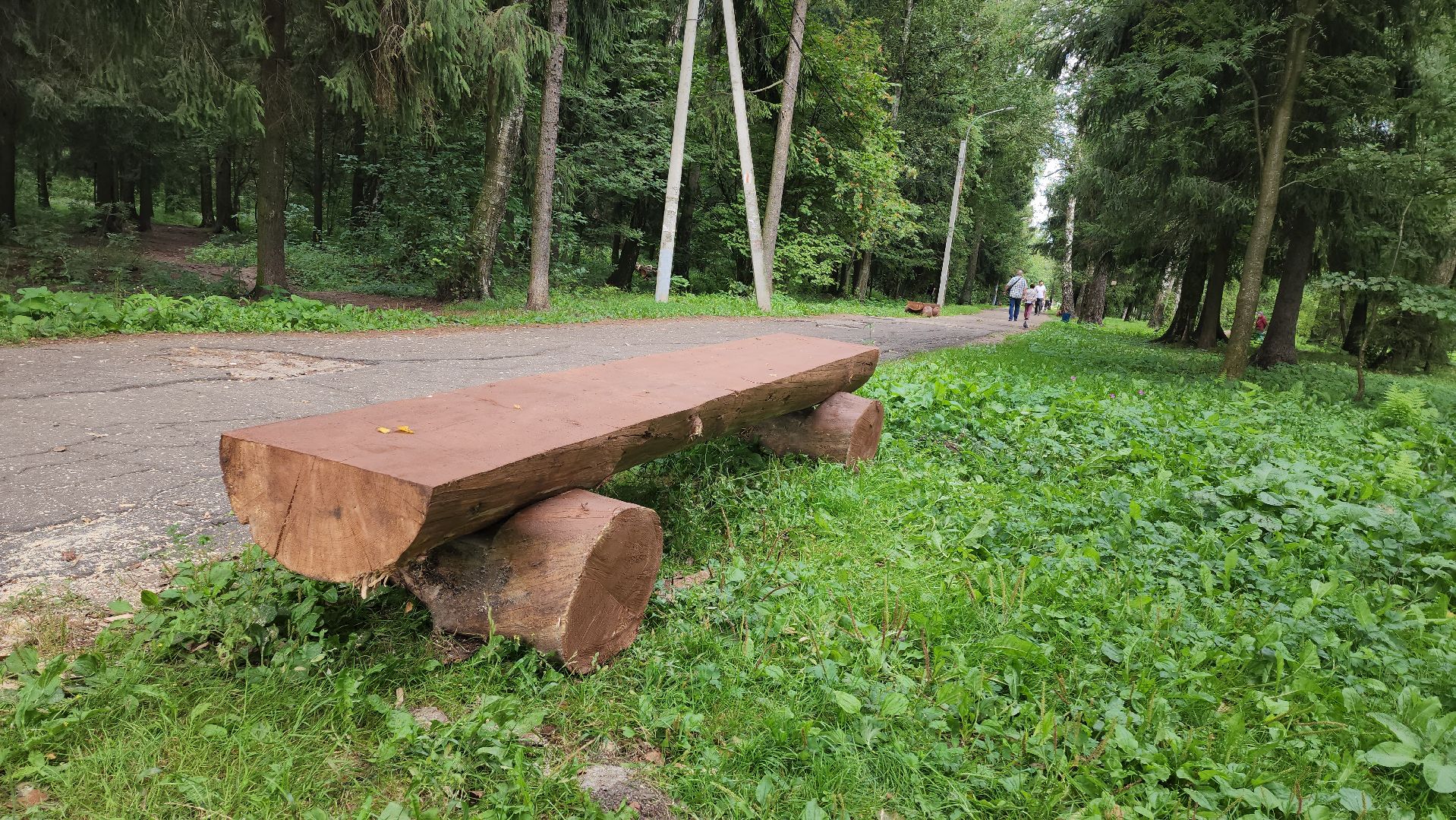 Лес, лавочки, Благоустройство, Лобня,