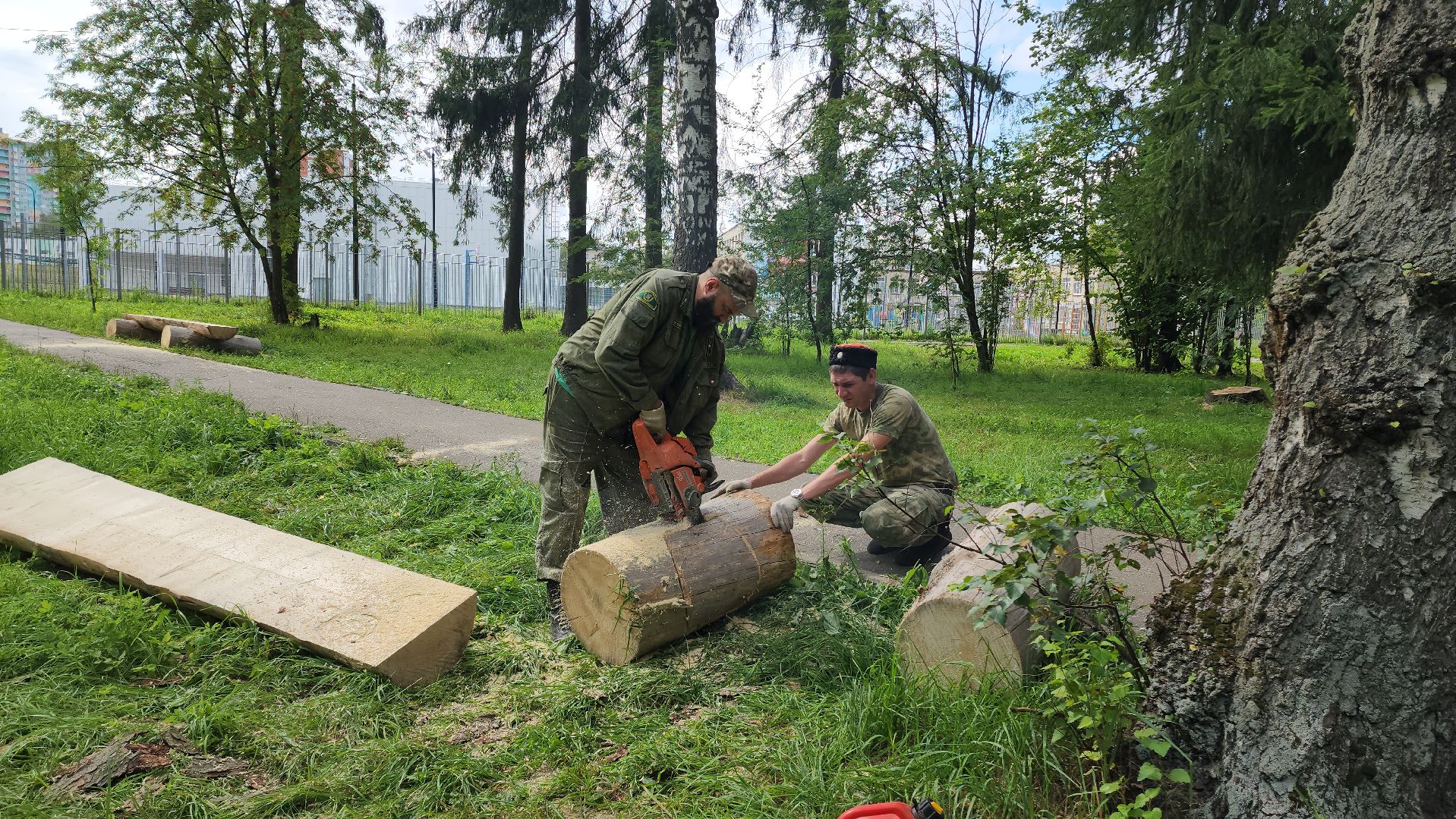 Лес, лавочки, Благоустройство, Лобня,