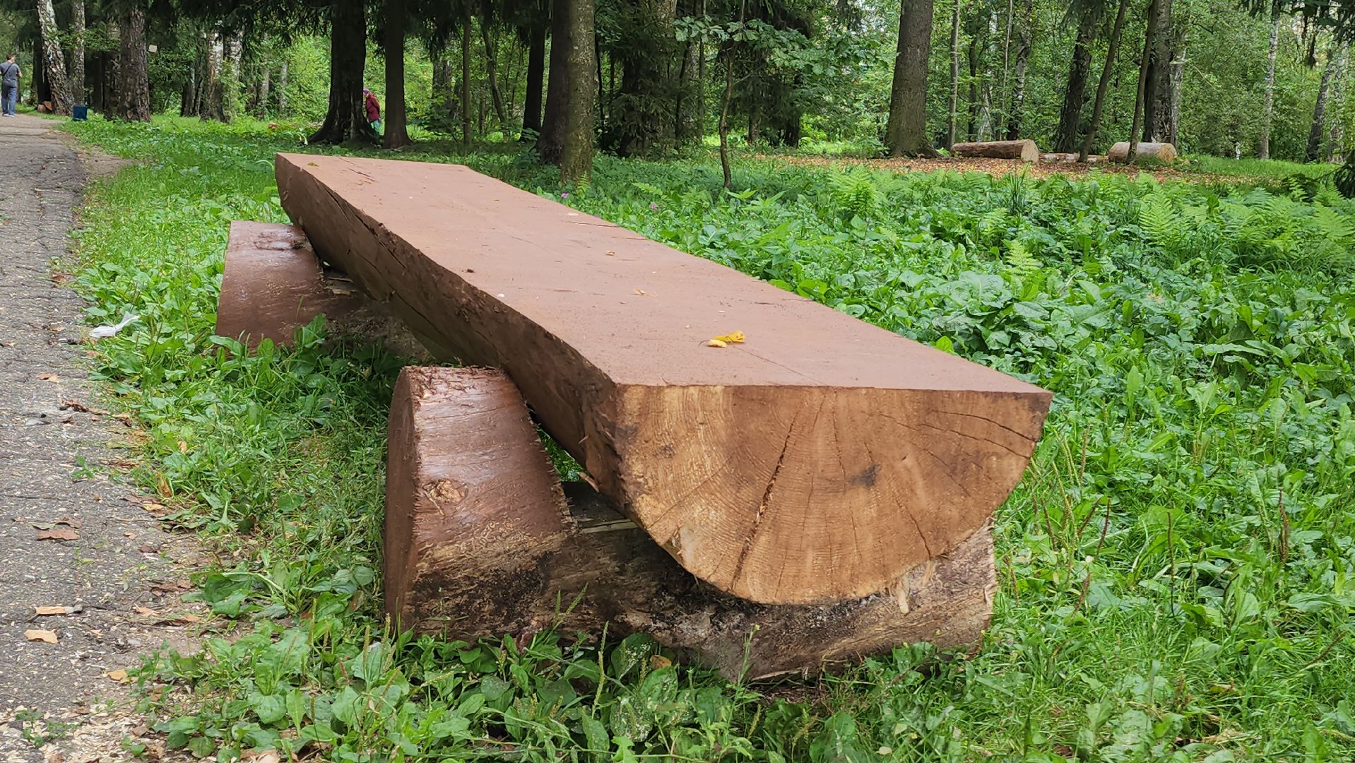 Лес, лавочки, Благоустройство, Лобня,