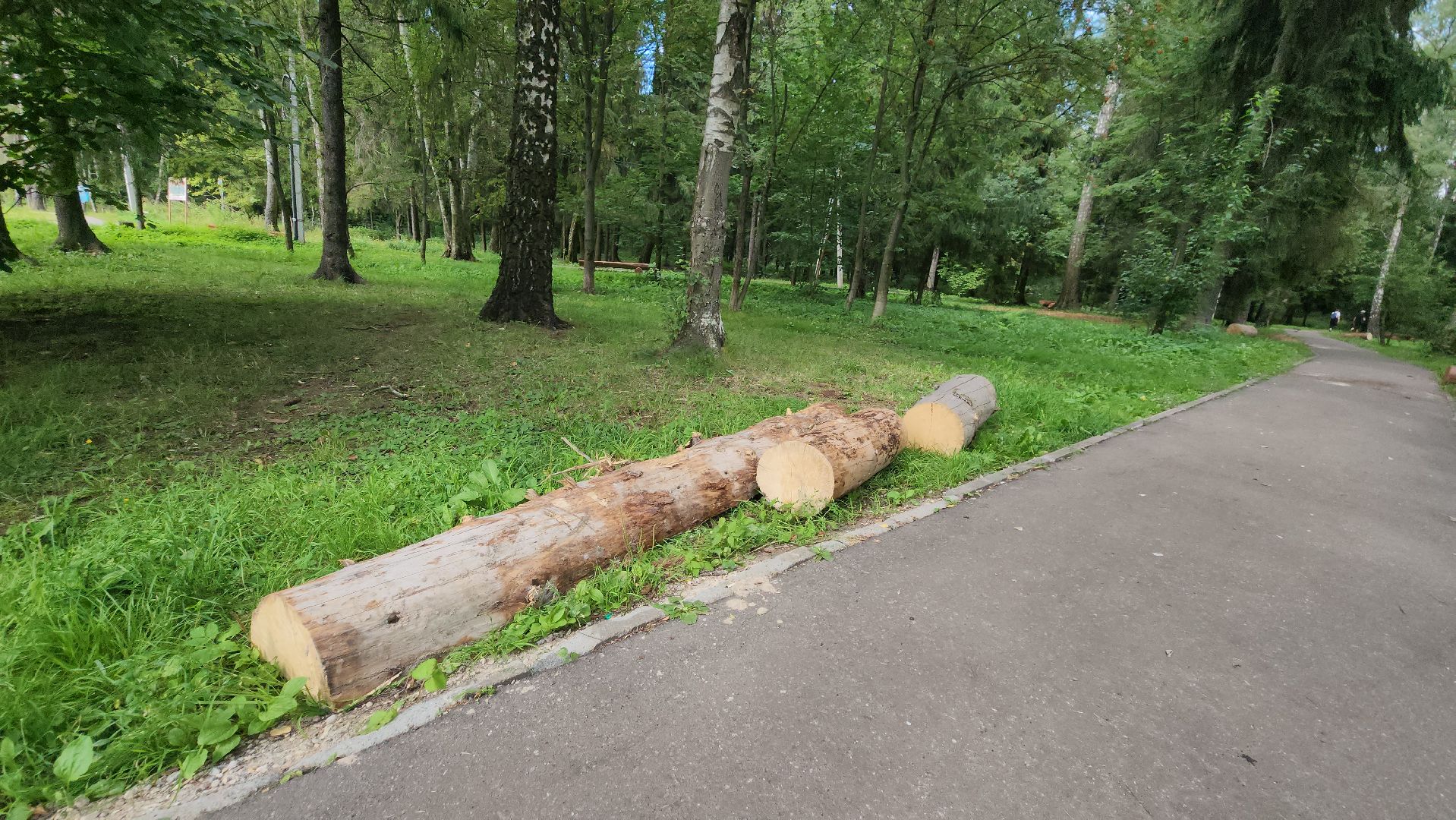 Лес, лавочки, Благоустройство, Лобня,